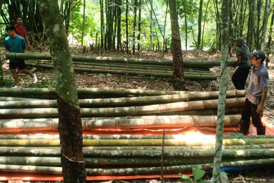 Numat bamboo farmers in the Philippines