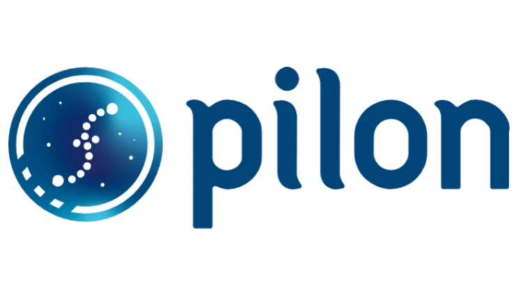 porfolio-company-logo-pilon